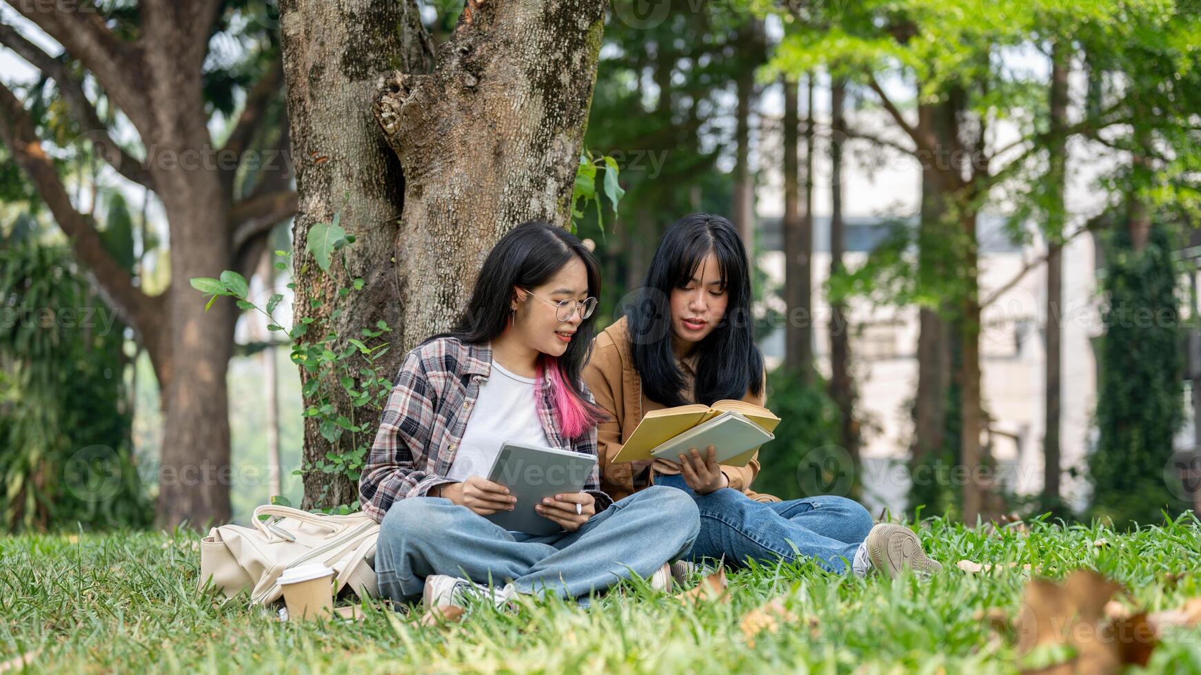 dos joven asiático hembra estudiantes sentar en el césped debajo un árbol, estudiando juntos en un instalaciones parque. foto