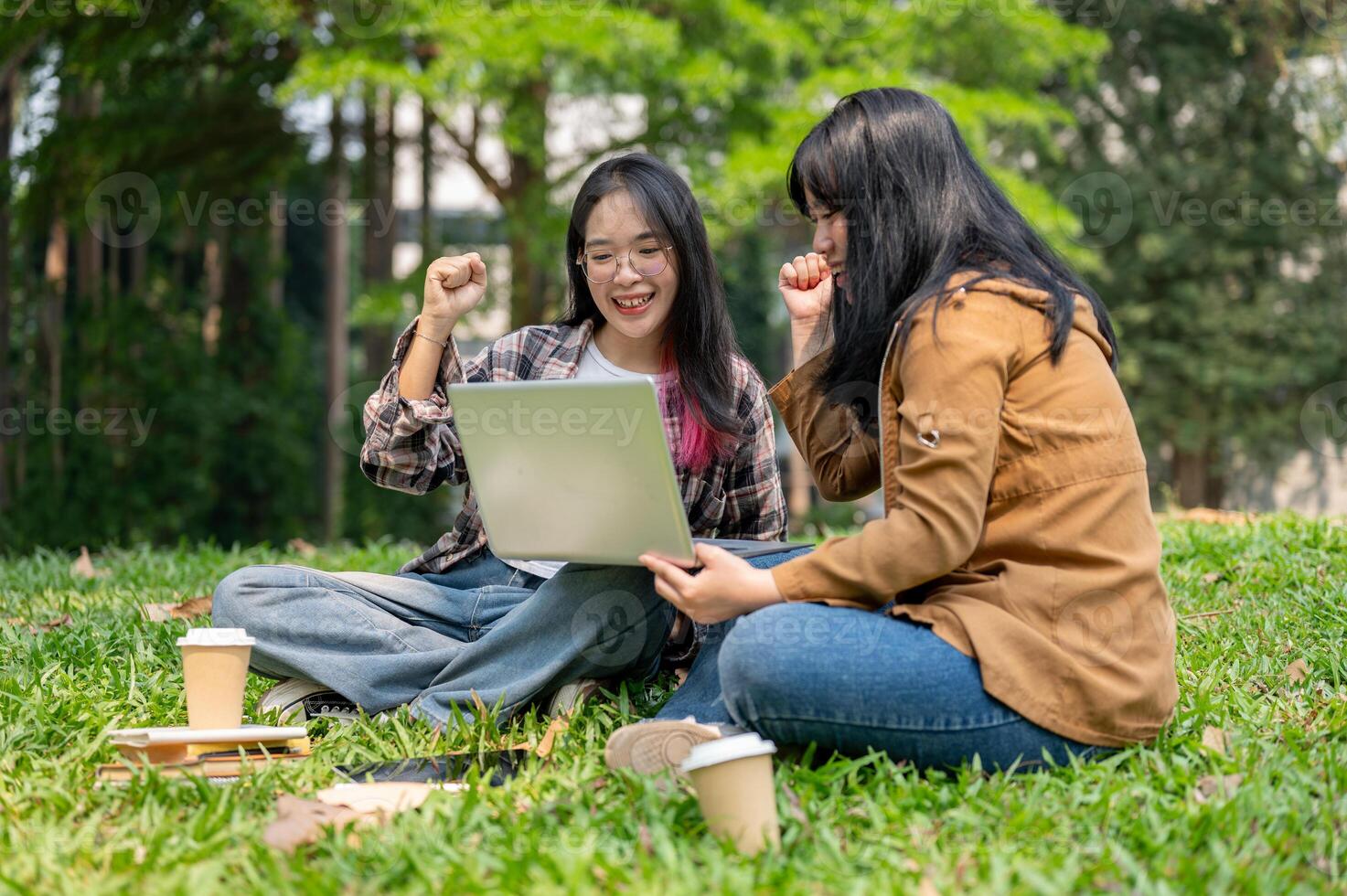 Two joyful Asian female students are celebrating with fists in the air while looking at a laptop. photo