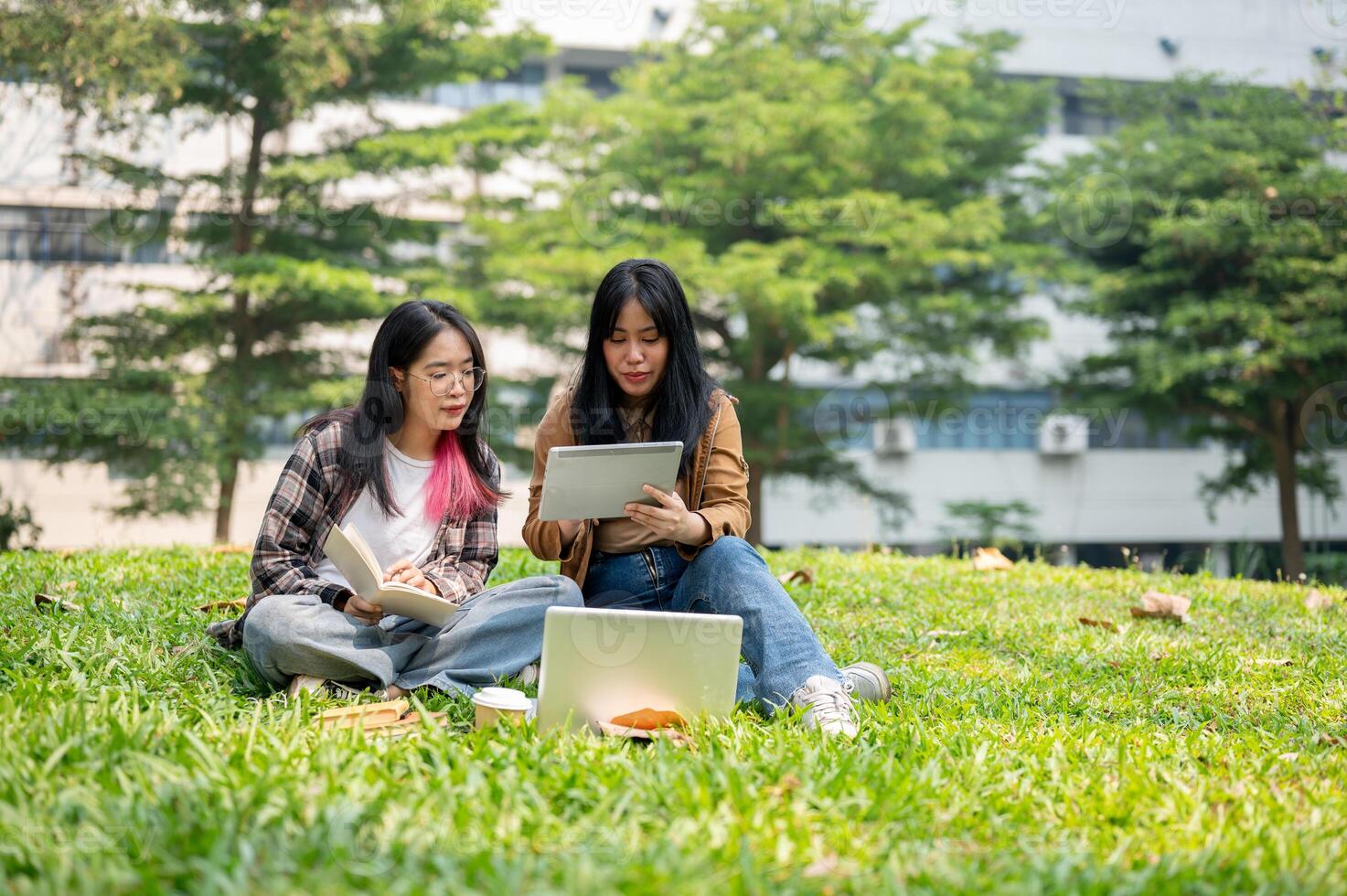 Two young students are sitting on the grass in a park, discussing something on a digital tablet. photo