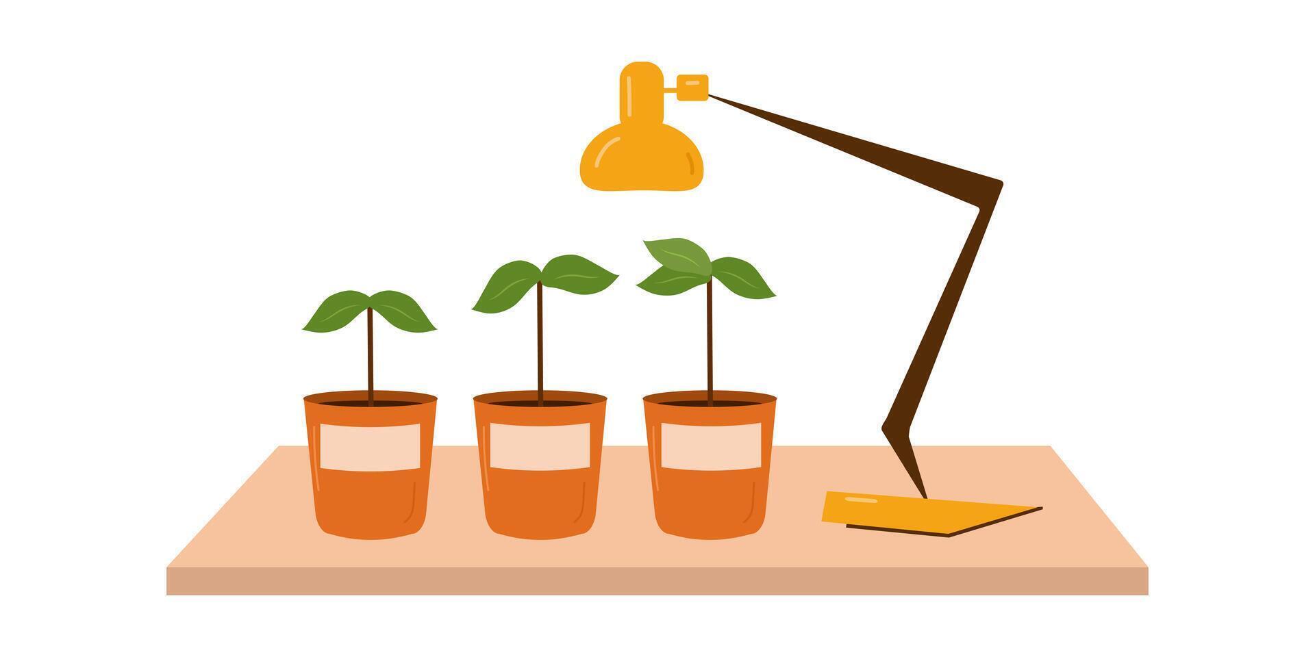 The concept of home growing fresh vegetables. vector