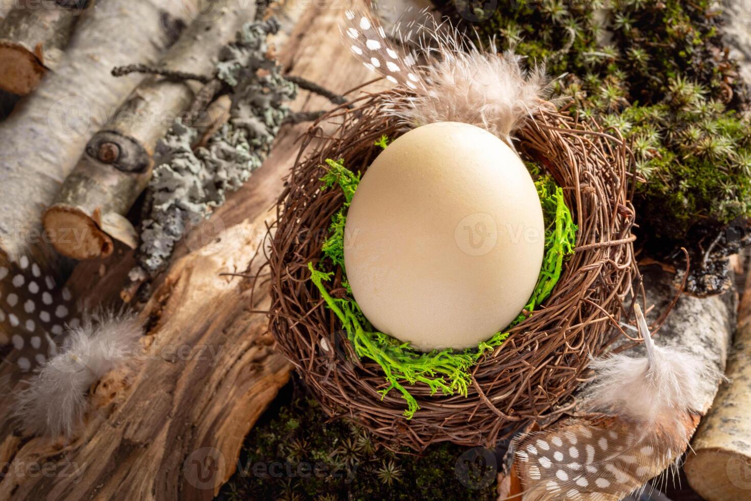 Easter natural background with beige egg in nest on background of moss, wands, driftwood, feathers. photo