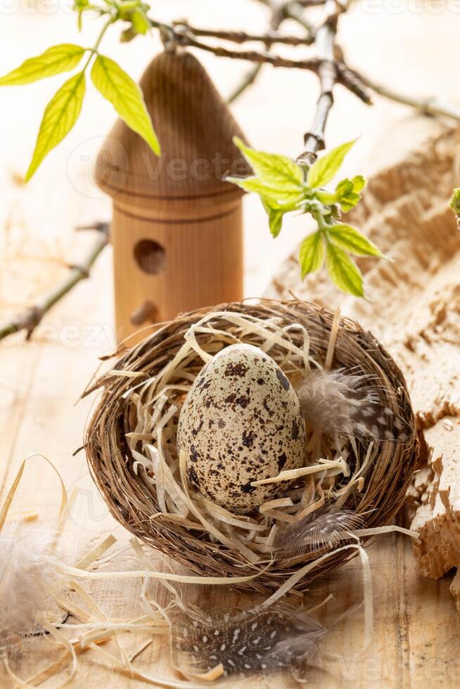 Easter nest with quail egg, straw, feathers, decorative birdhouse, twigs with spring leaves on wood. photo