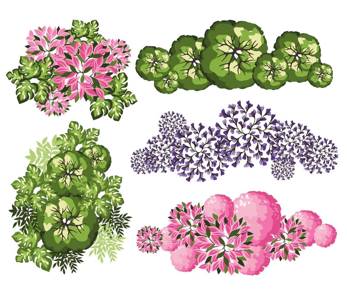 Tree for architectural floor plans. Entourage design. Various trees, bushes, and shrubs, top view for the landscape design plan. illustration. vector