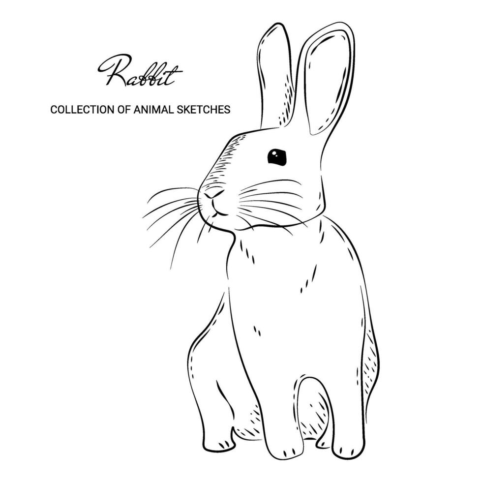 illustration of a hand-drawn Easter bunny in doodle style. Monochrome sketch rabbit template for coloring. Easter outline character symbol, sign. Hare linear drawing for anti-stress coloring. vector