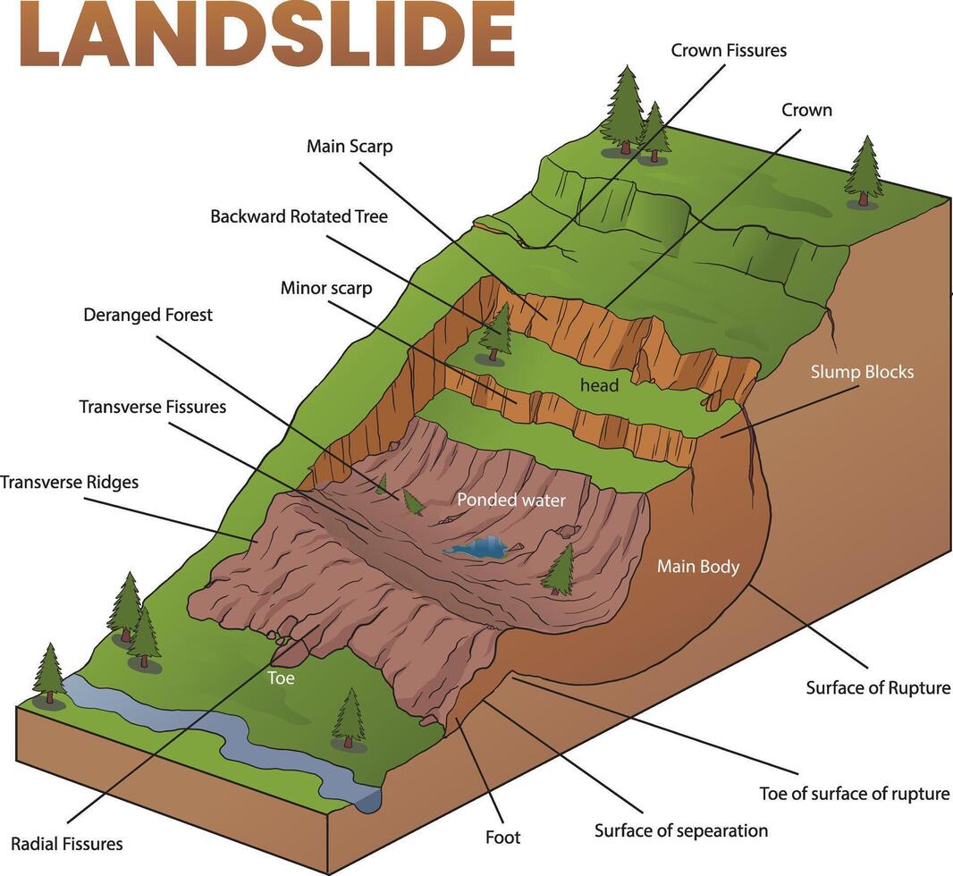cross section illustration of landslide diagram vector