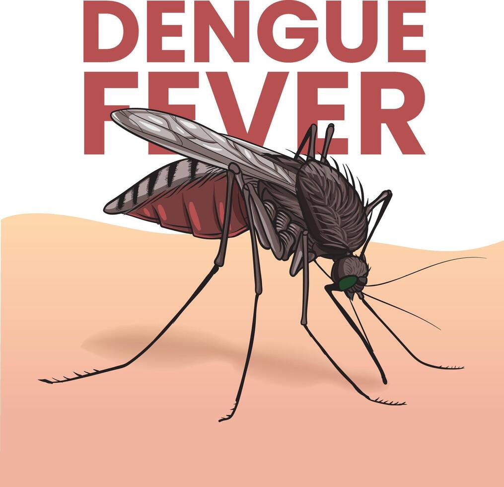 ilustración de dengue fiebre mosquito vector