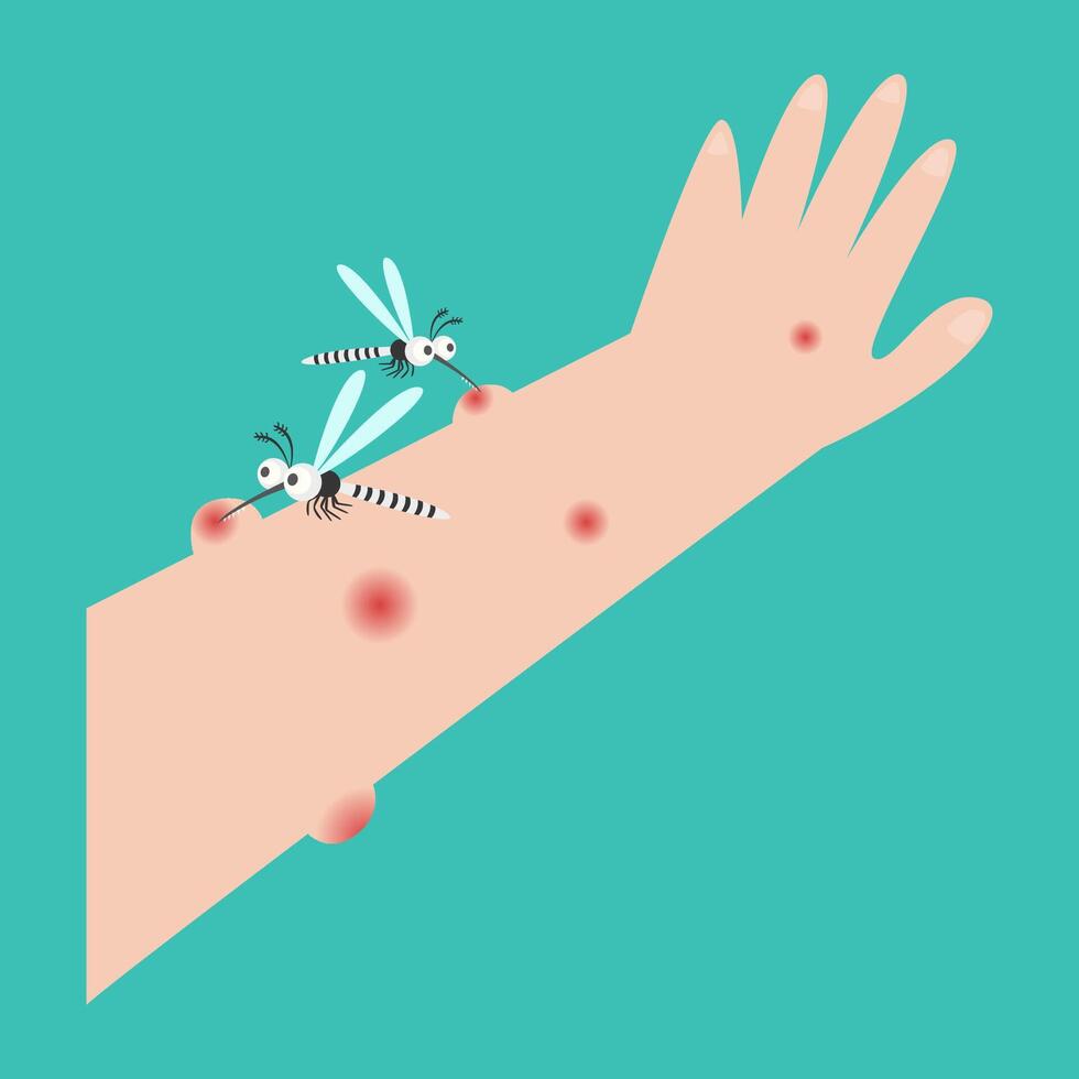 mosquito carrier of dengue chikungunya zika malaria disease vector