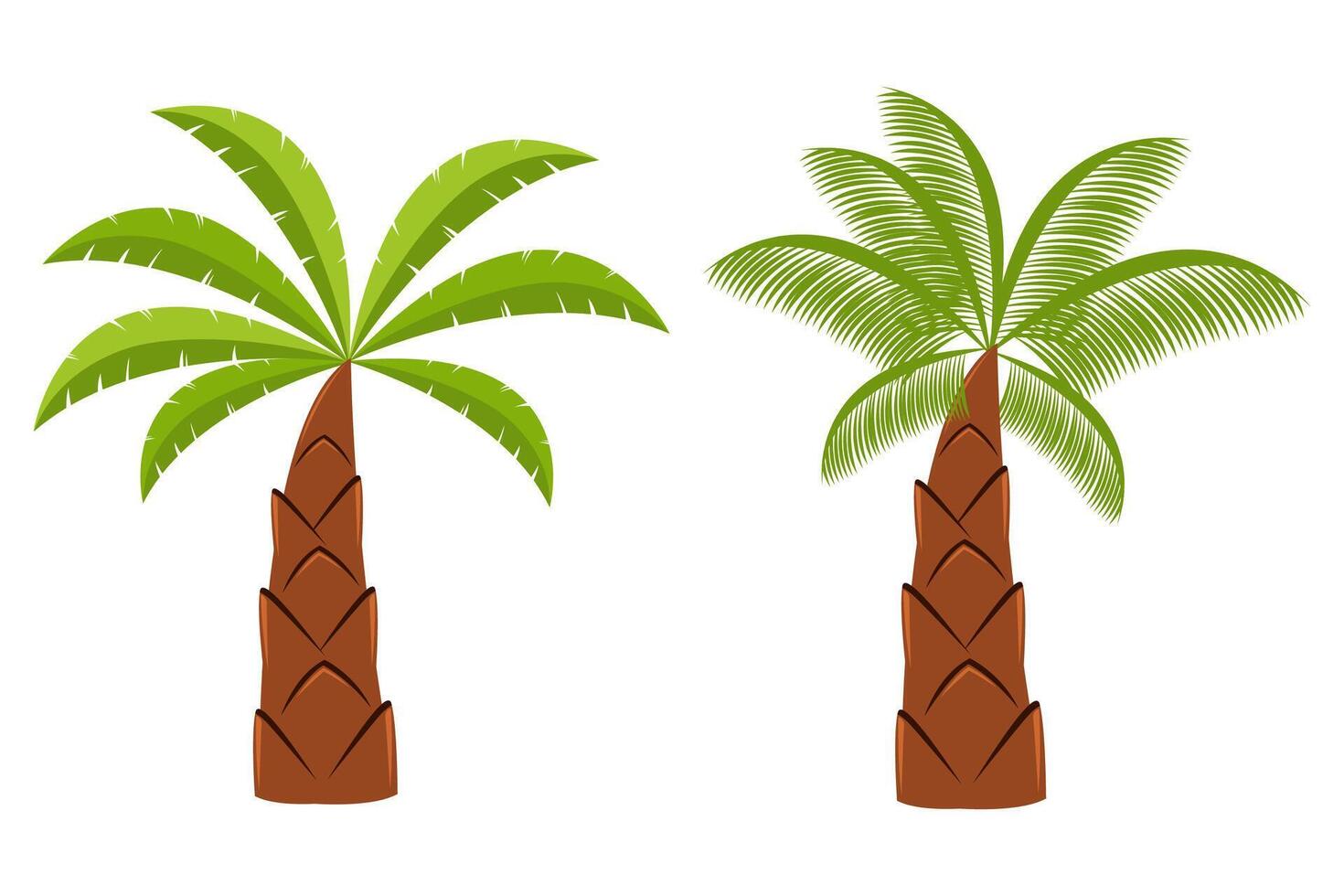 plam árbol y Coco árbol. verano planta elemento vector