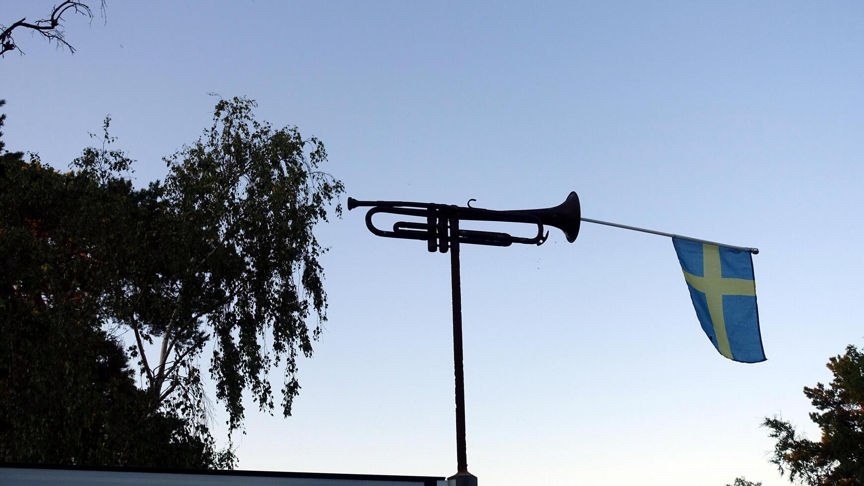 a trumpet with the Swedish flag tucked inside photo