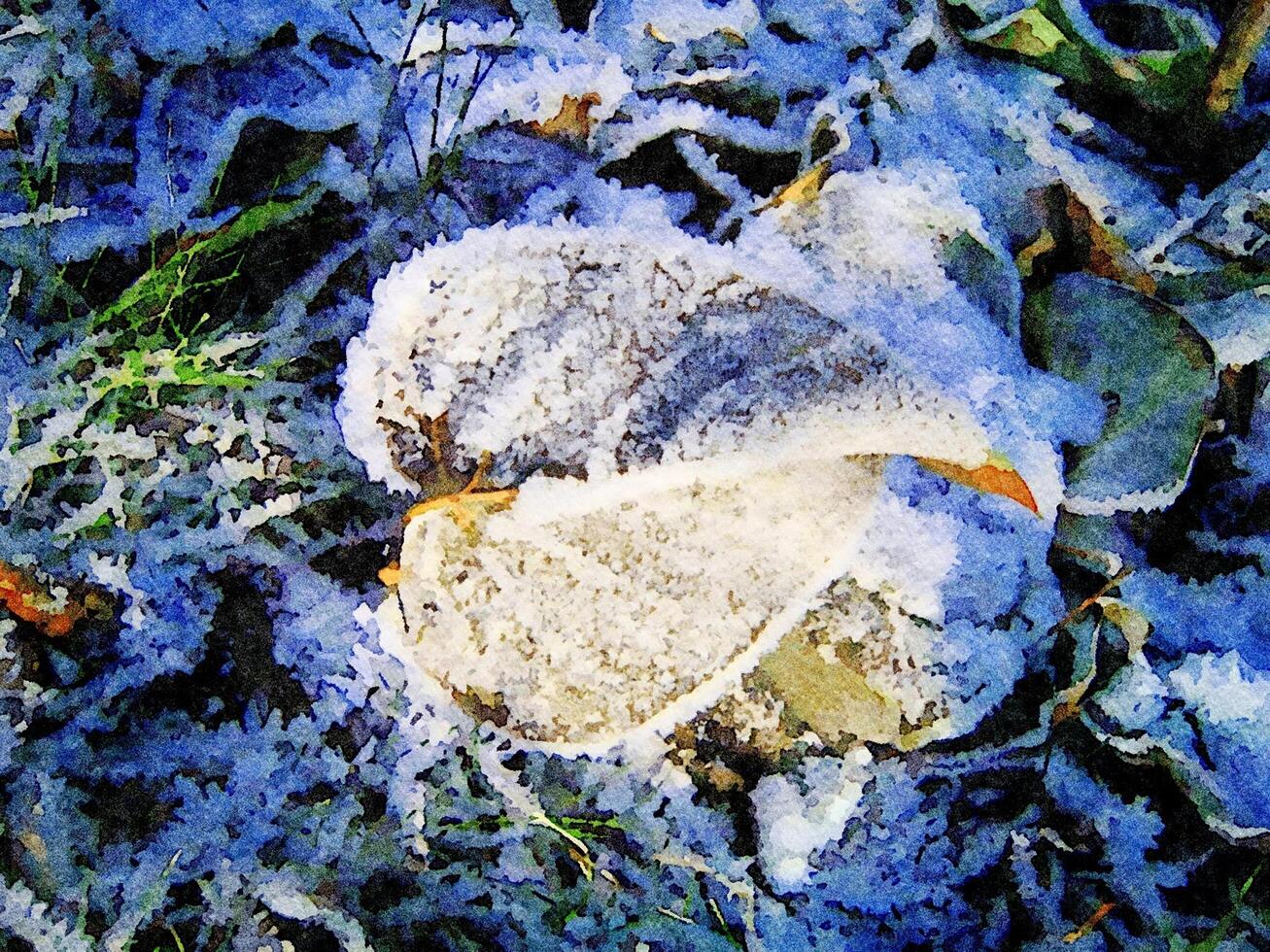 Digital watercolor style of the leaves covered with snow crystals photo