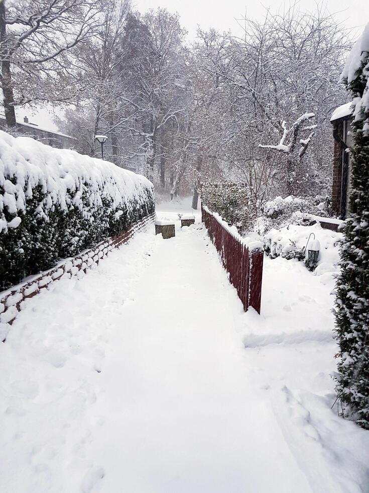 winter on the outskirts of Stockholm photo