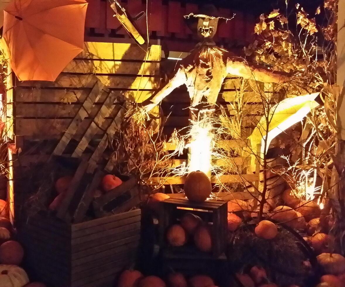 a scarecrow among the pumpkins photo