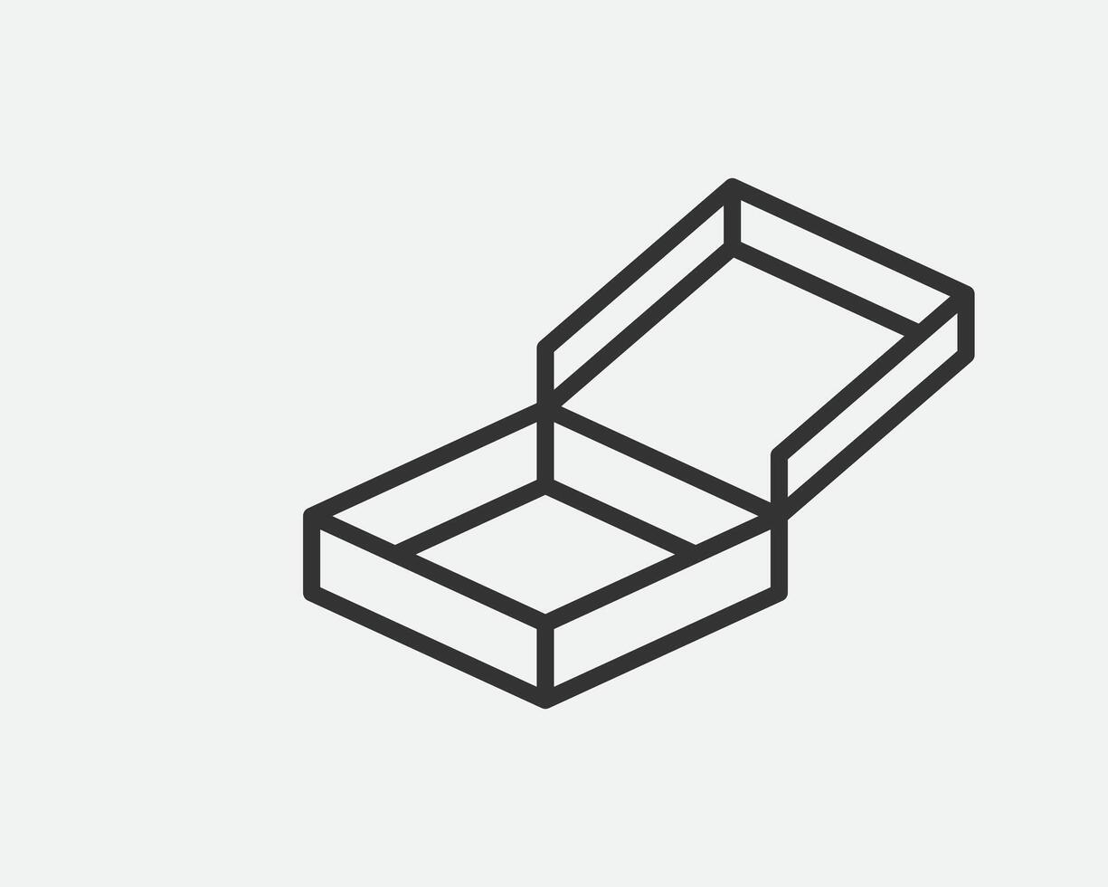Delivery packaging icon. Cargo cardboard box icons. Carton package sign from line geometric shapes. vector