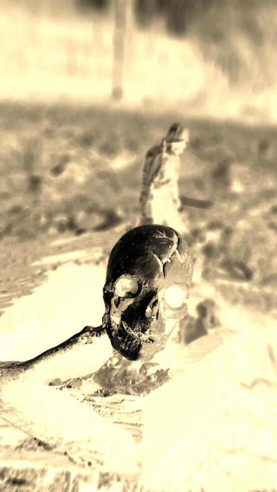 A soldier in war always walks with, together and towards death photo