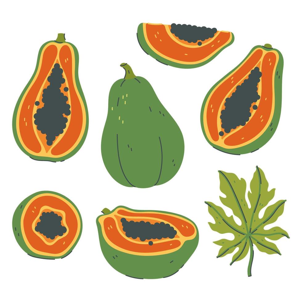 Set of papaya and pieces isolated on white background. graphics. vector