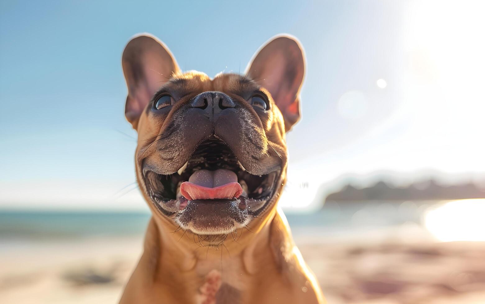 francés buldog perro ese tiene abrió sus boca y palos fuera sus lengua foto