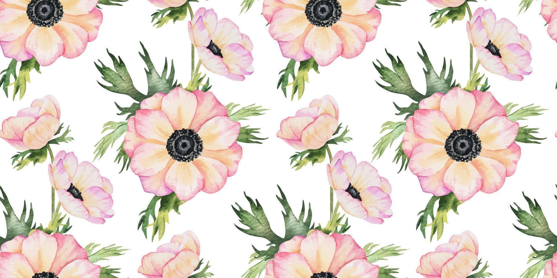 Anemone rose flowers and leaves. Isolated hand drawn watercolor seamless pattern of pink poppies. Summer floral background for wedding design, textiles, wrapping paper, scrapbooking vector