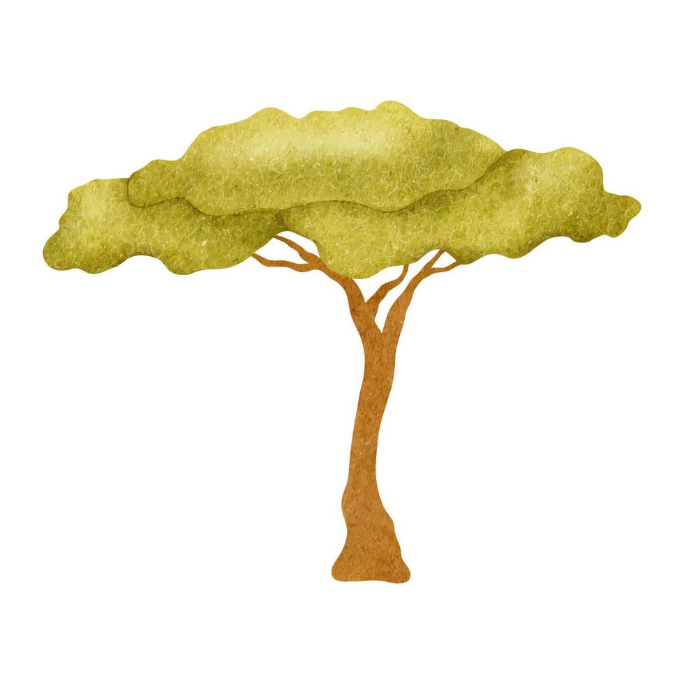 Acacia sieberiana. Isolated hand drawn watercolor illustration of Acacia in kid's style. Southern tree for baby shower, cards, posters, kid's goods and rooms vector