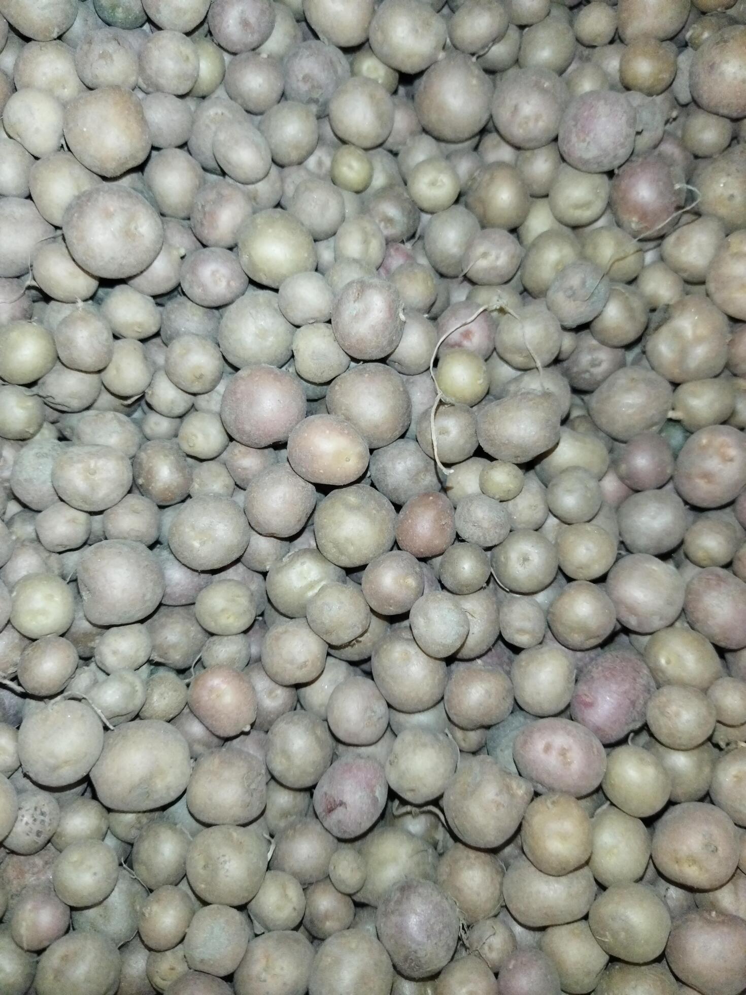 Potatoes contain vitamins 'A', 'B' and 'C'. Also, potato peels contain