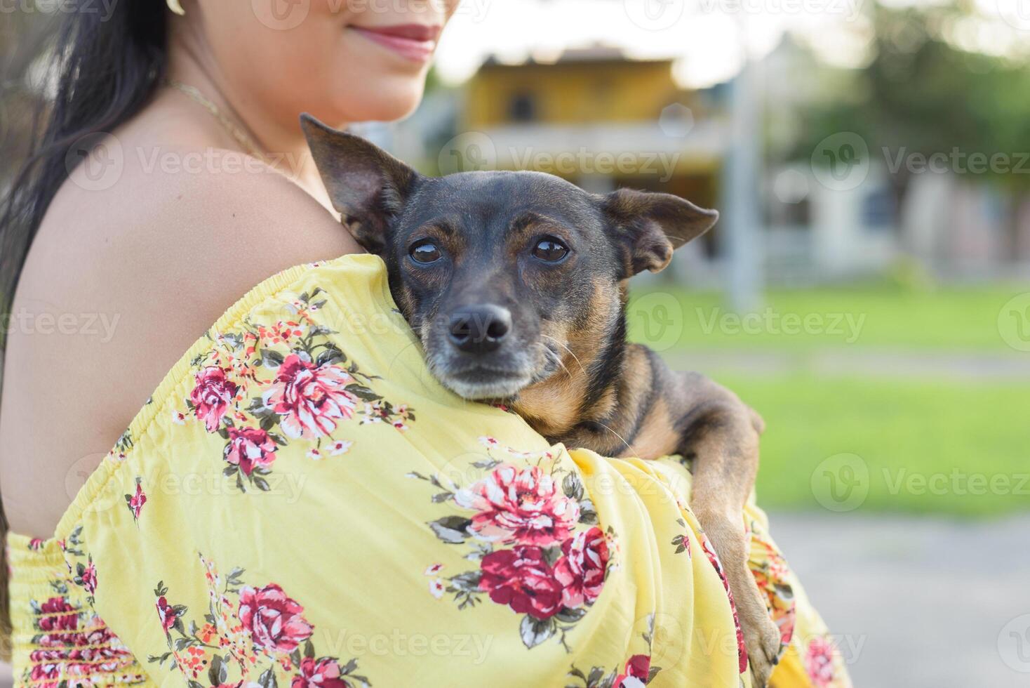 Woman hugging her pet in a public garden at sunset. Dog lover. photo