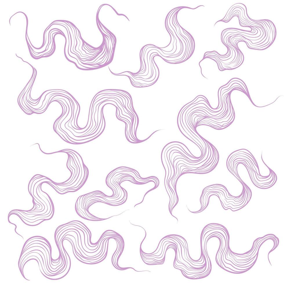 Set of Abstract Wavy Lines Element vector