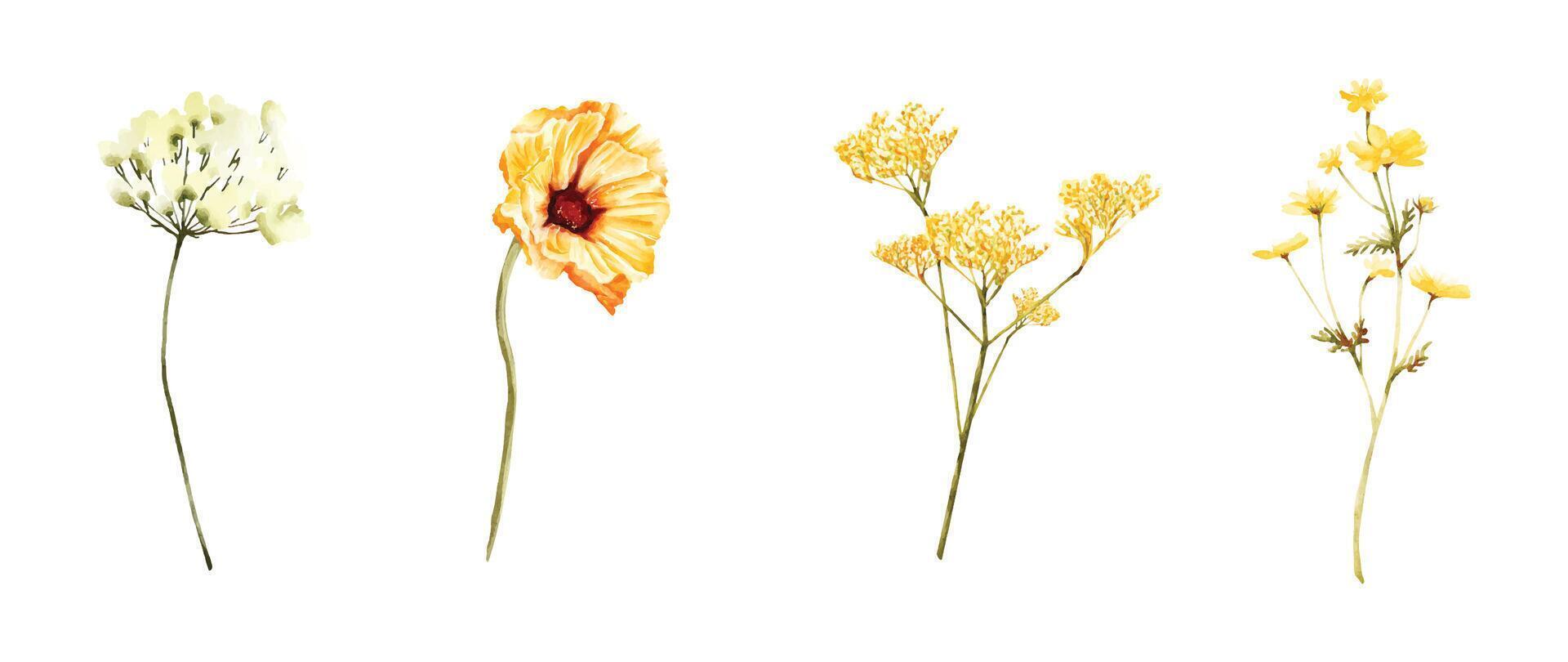 Set of flower watercolor elements on white background vector