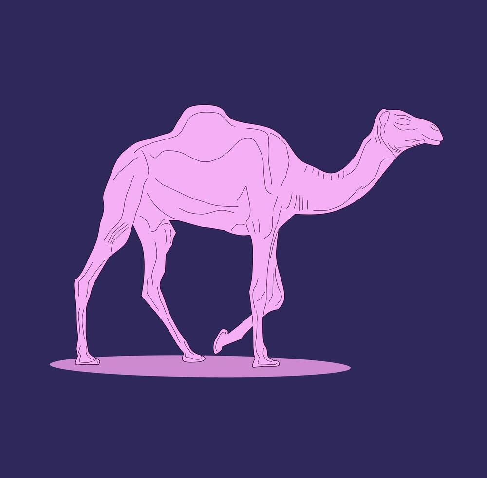 elegante siluetas camellos en un púrpura crepúsculo, descubrir el sereno belleza en esta camello ilustración, dibujado con liso, elegante líneas en suave sombras de púrpura. vector