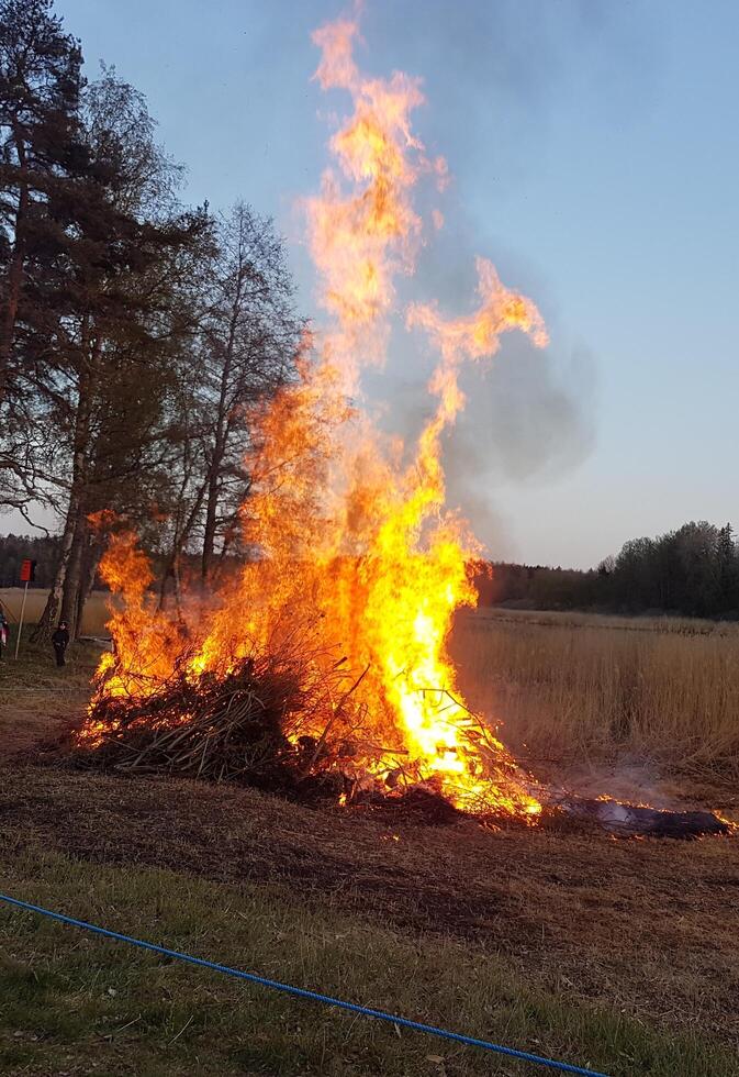 A bonfire burns dangerously in a field photo