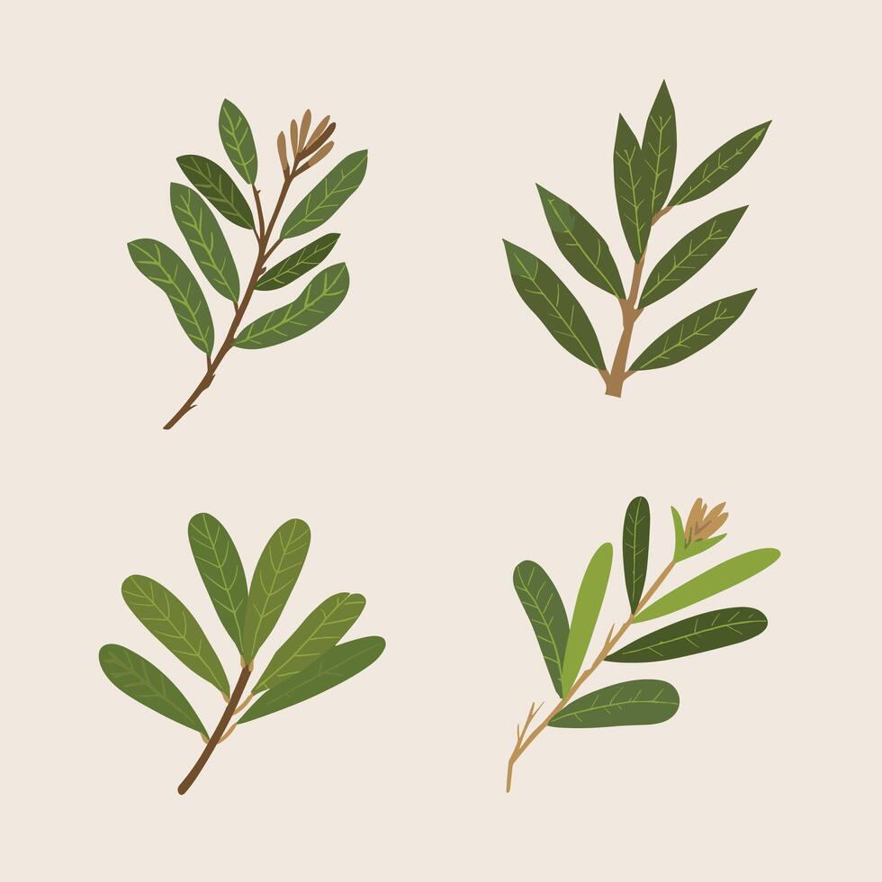 Flat style green leaves collection vector