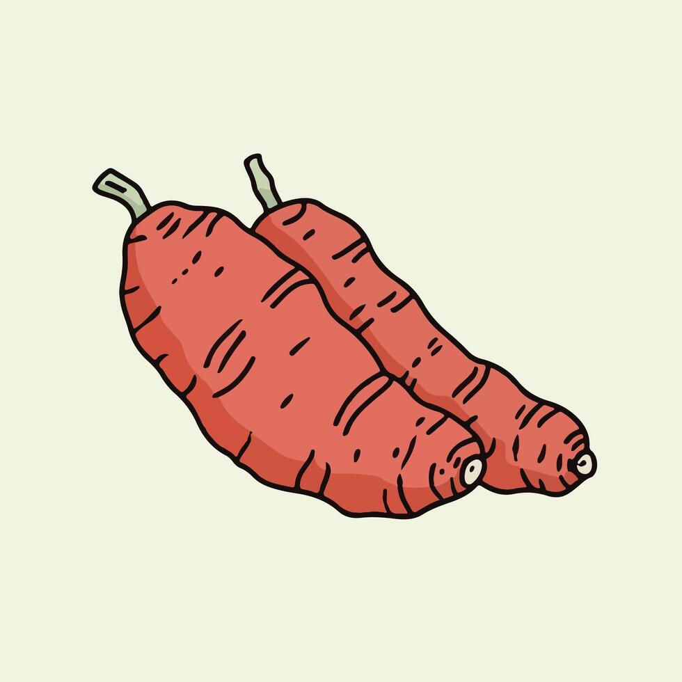Sweet Potatoes illustration vector