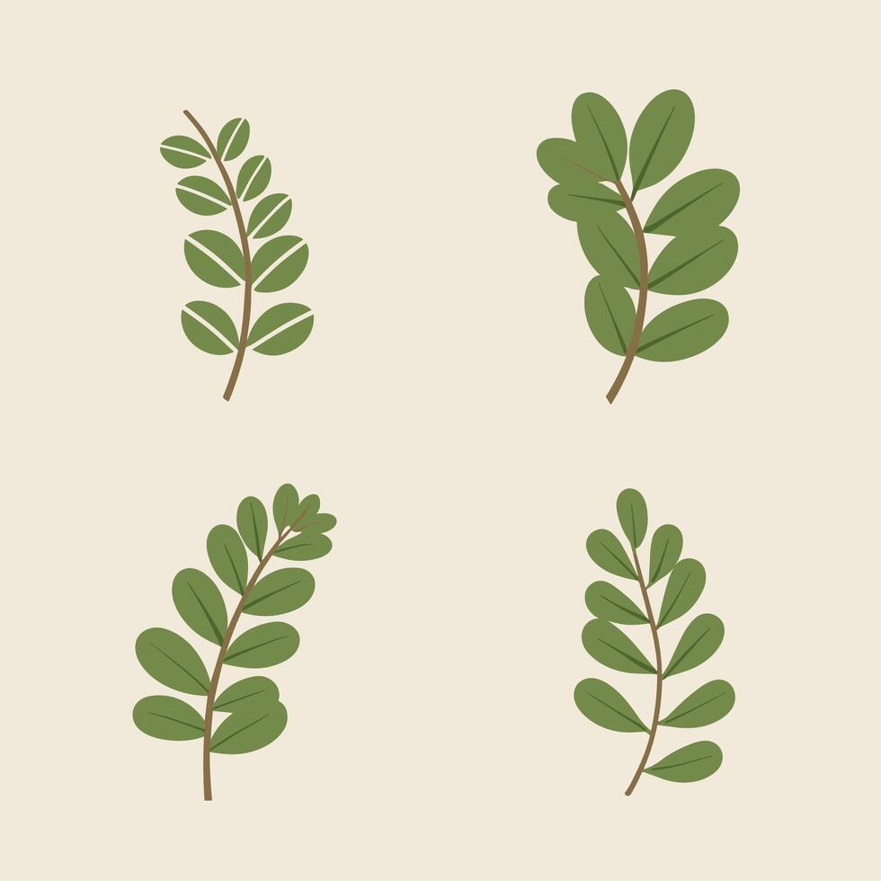 Flat style green leaves collection vector