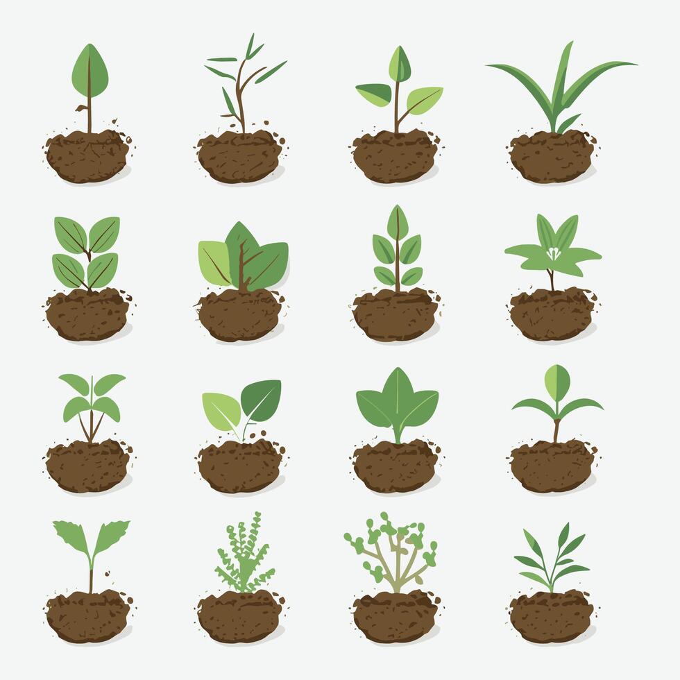 flores y plantas planta de semillero proceso plano íconos ilustración vector