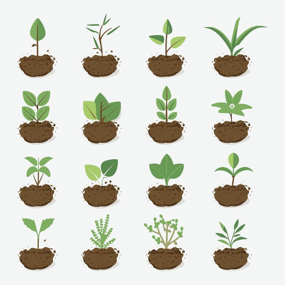 Flowers and plants seedling process flat icons illustration vector