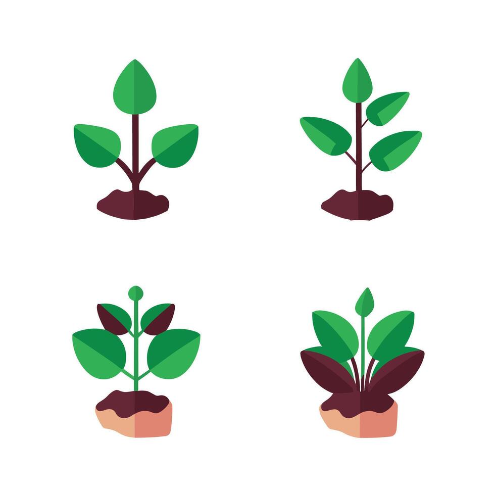 Flowers and plants seedling process flat icons illustration vector