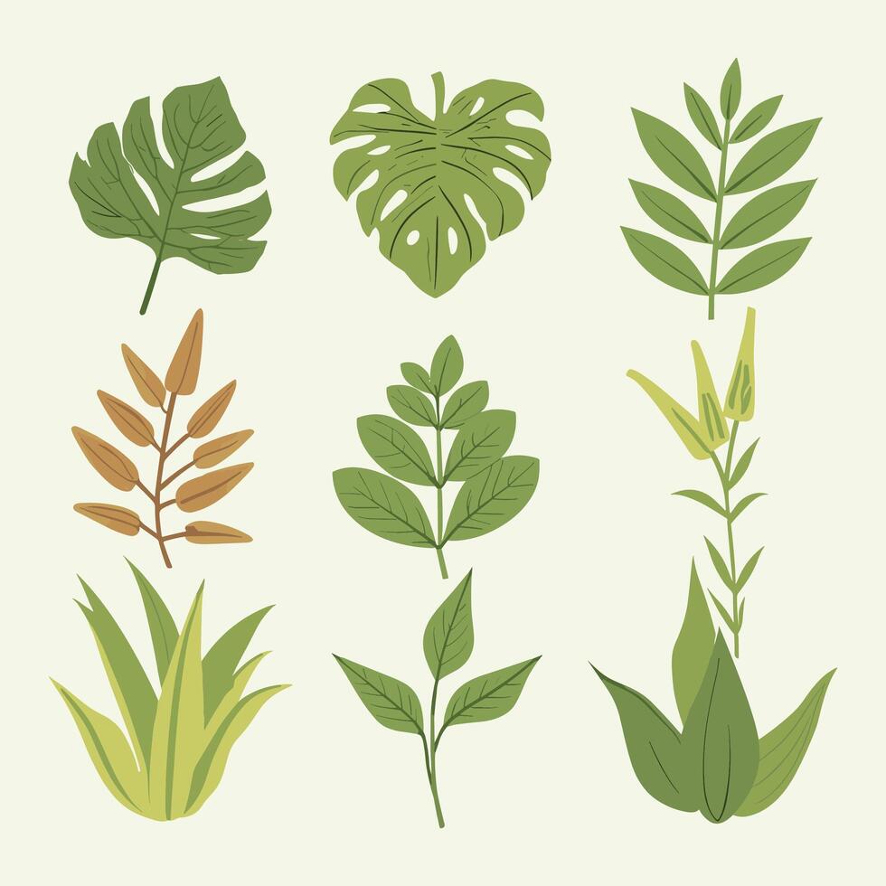 Flat style green leaves collection vector