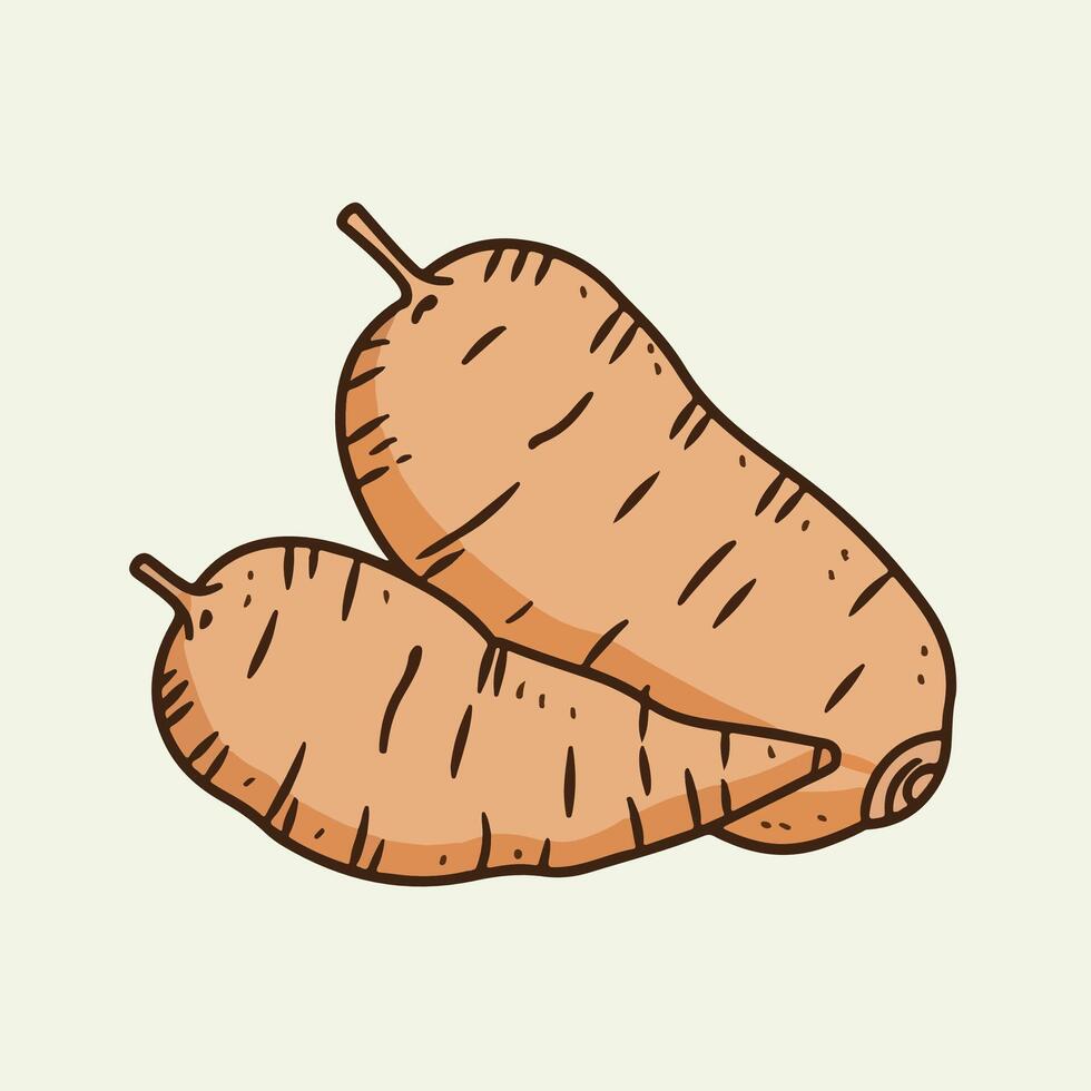 Sweet Potatoes illustration vector