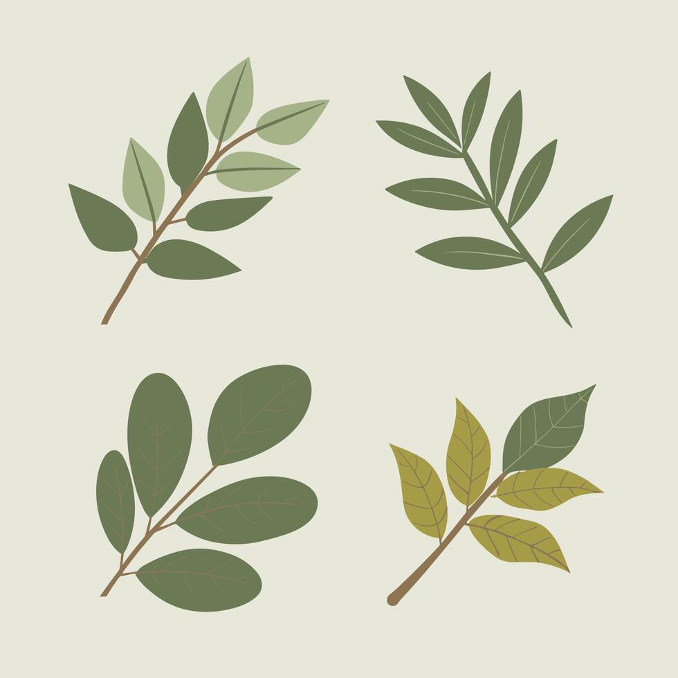 Flat style green leaves collection vector