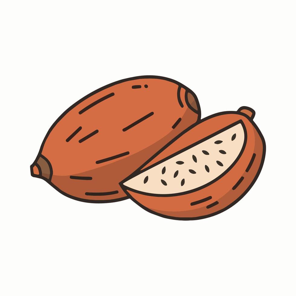 Sweet Potatoes illustration vector