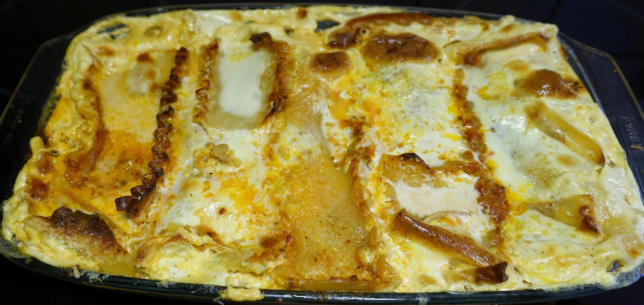 Home-made white lasagna fresh from the oven photo