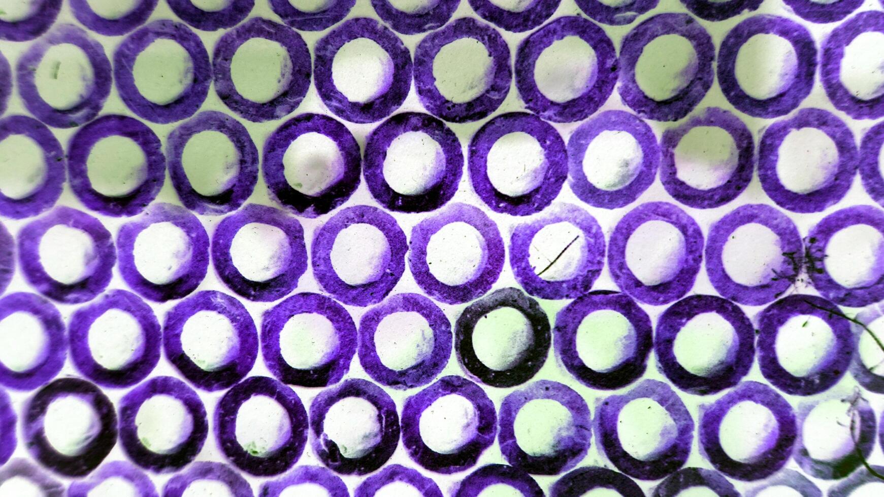 Purple colored circles on white photo