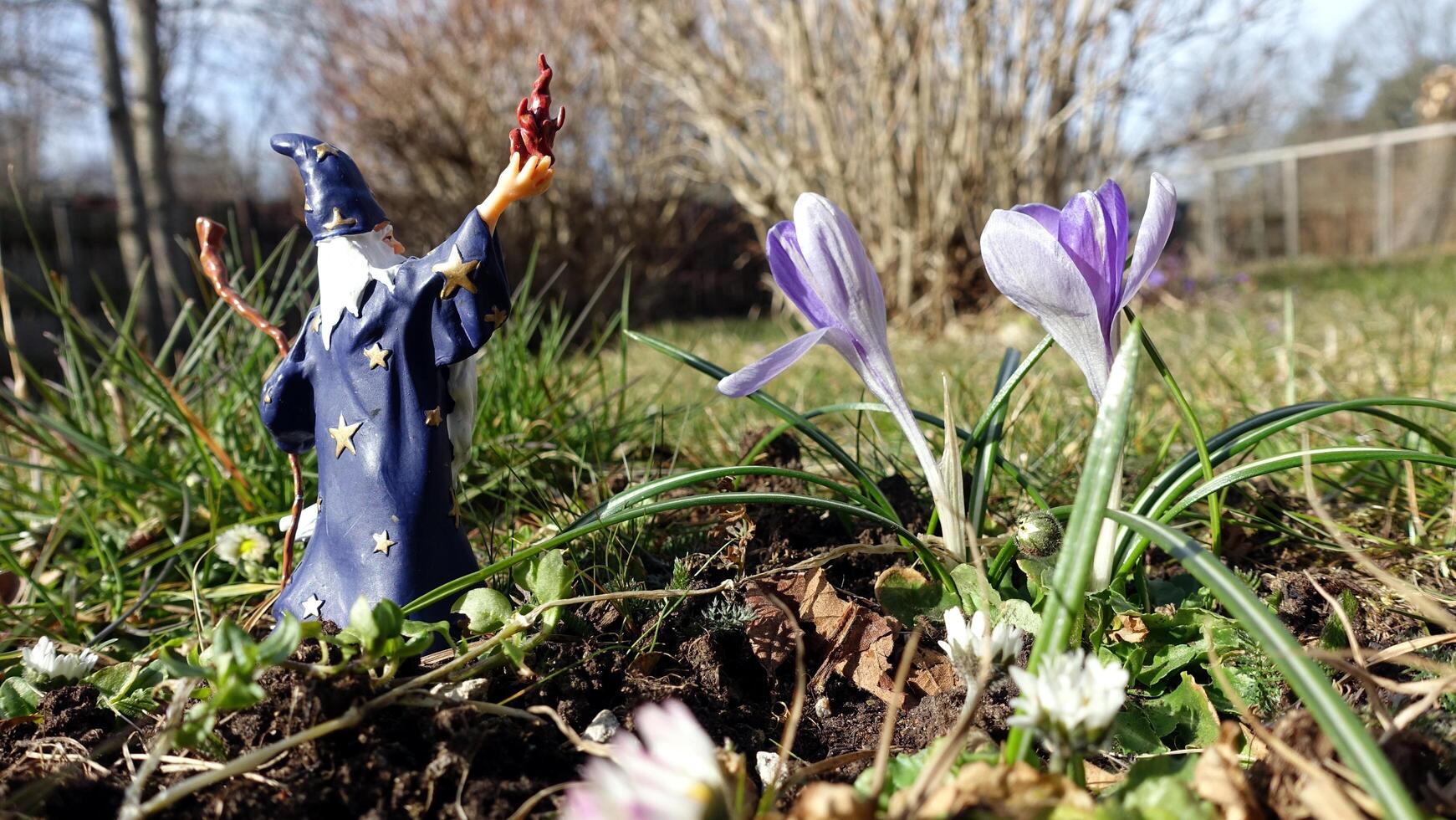 Spring will come also with the help of Merlin Wizard photo