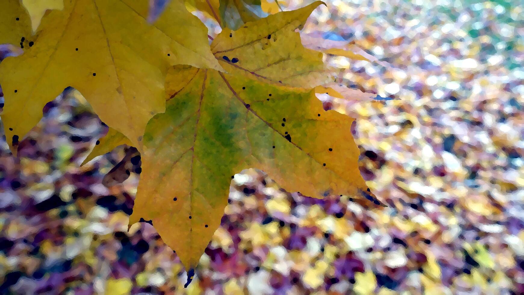 otoño tiene llegado en el afueras foto