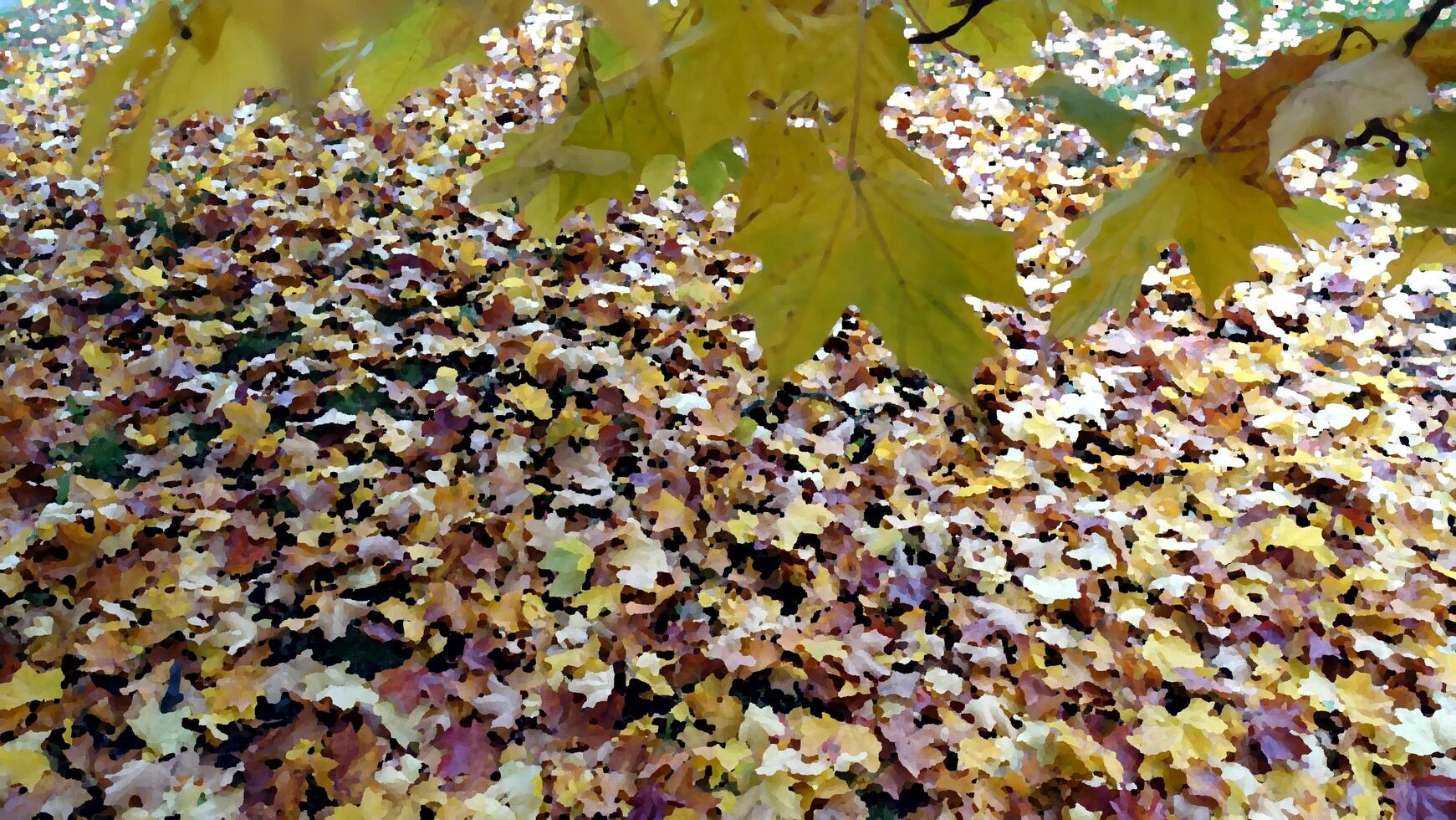 otoño tiene llegado en el afueras foto