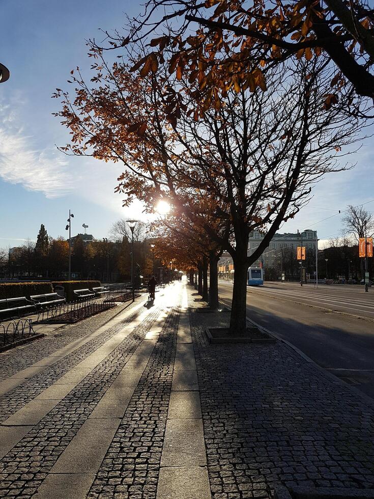 walking in the city center in summer. photo