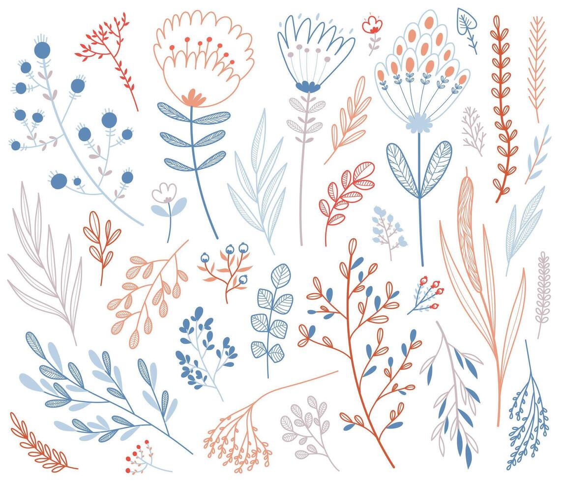 Set of hand-drawn floral elements, plants and flowers. Isolated on a white background. Doodle floral collection. vector