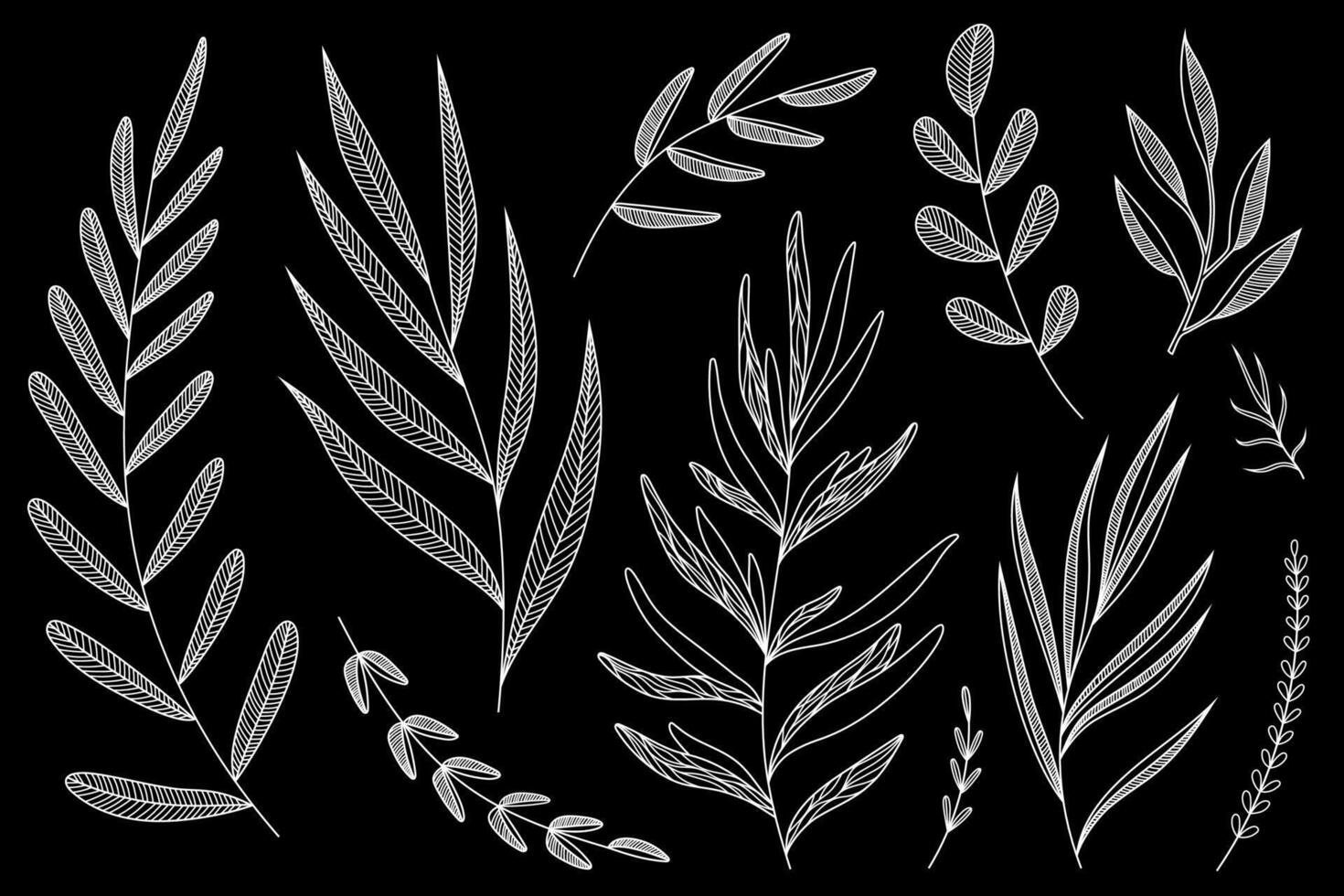 grande ramas colocar. botánico ilustración. elementos. aislado. blanco línea trabajo en negro antecedentes. vector