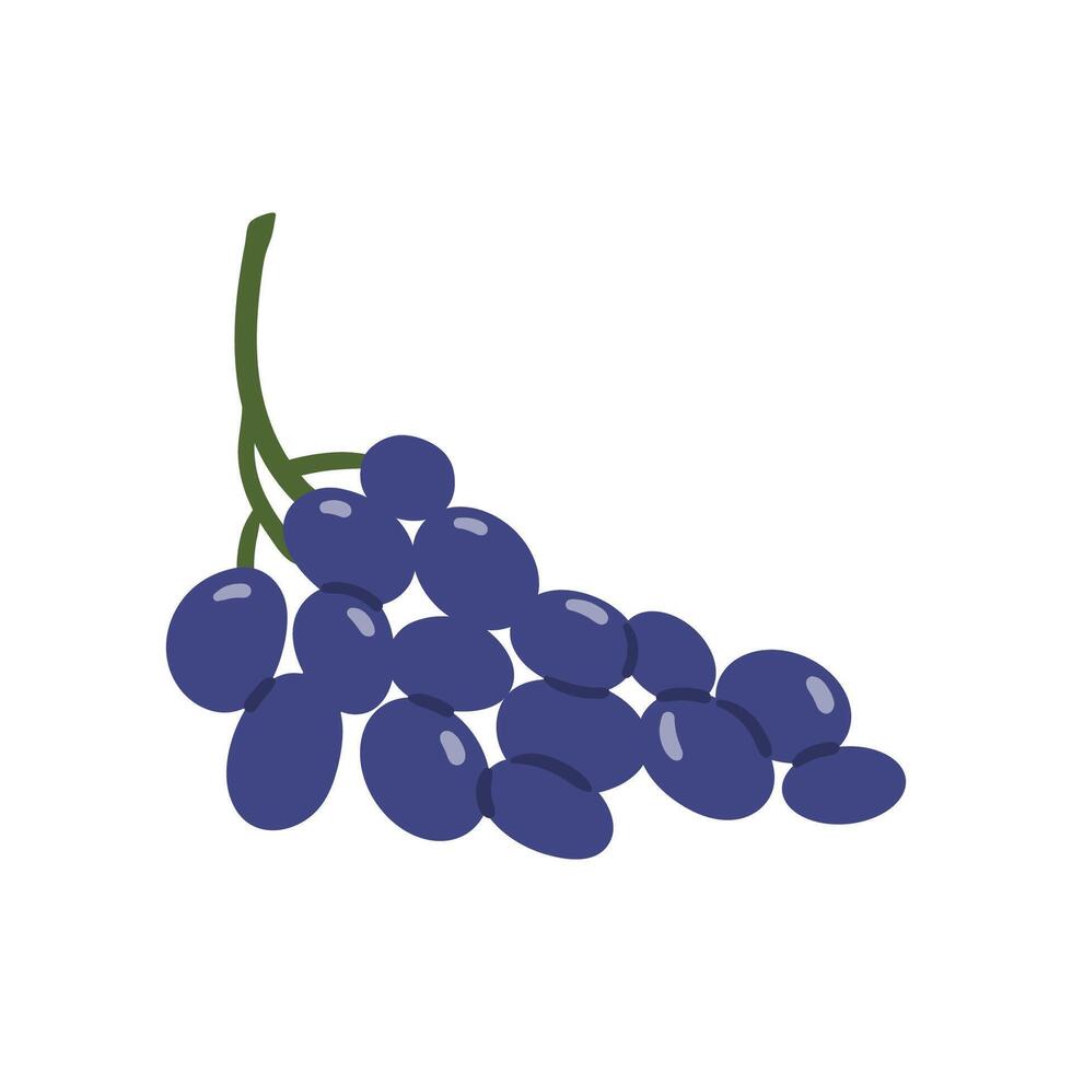 Blue grape bunch. flat illustration. vector