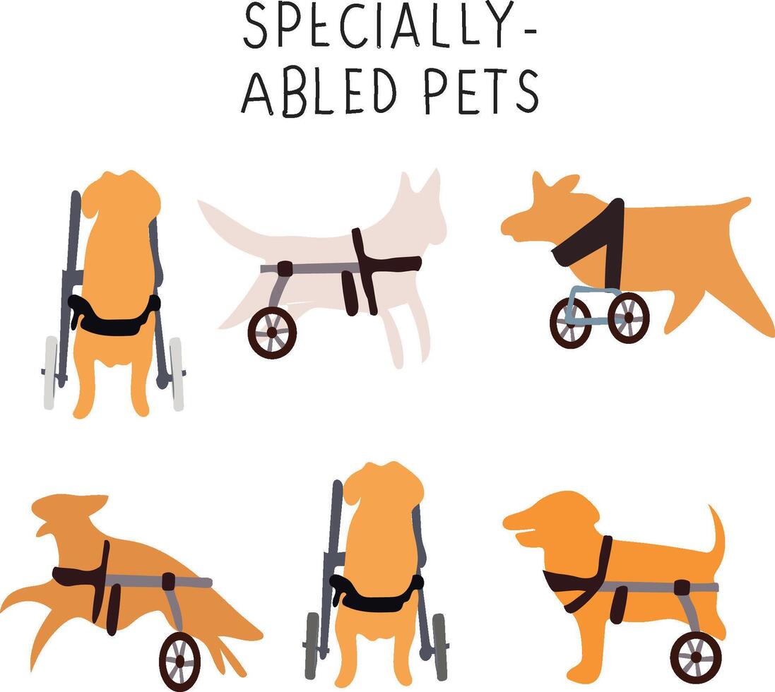 set ofdisabled Dogs set vector