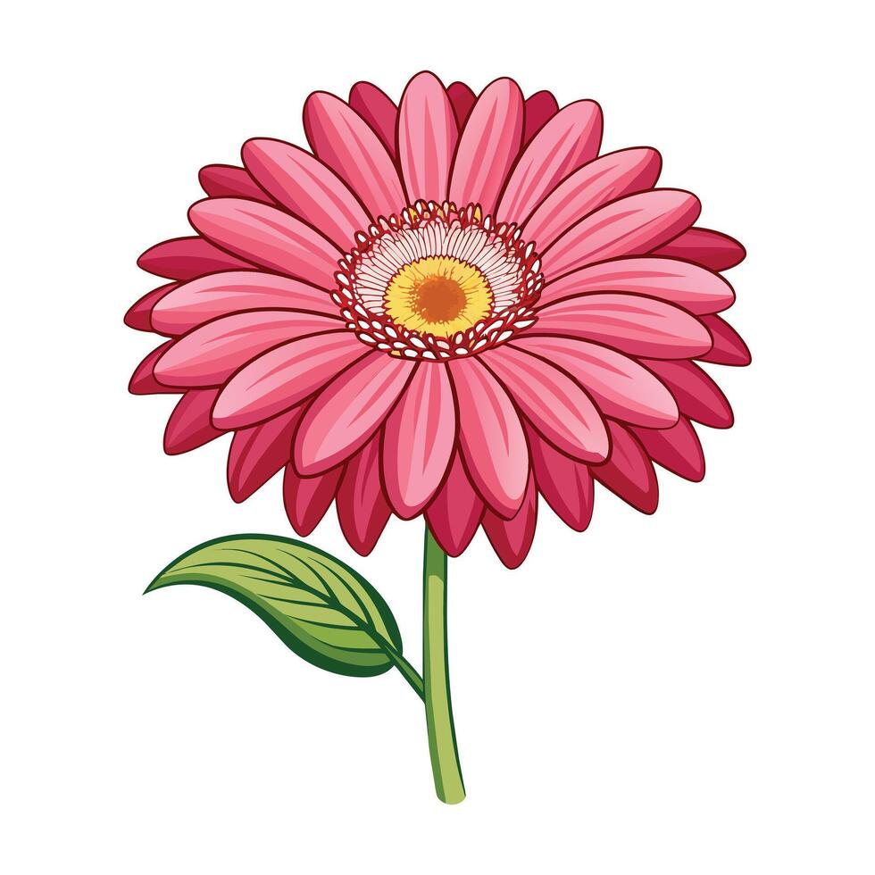 ilustración de gerbera margarita en blanco vector