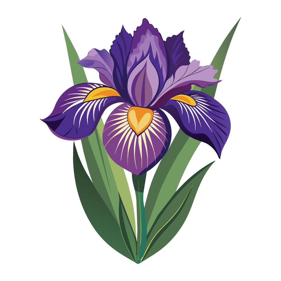 ilustración de iris en blanco vector